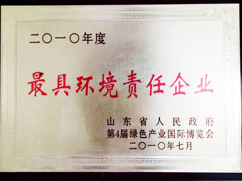 最具环境责任企业